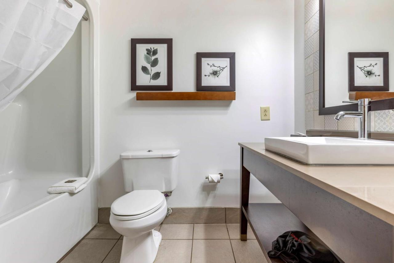 Country Inn & Suites By Radisson, Lumberton, Nc Экстерьер фото